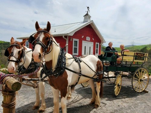 Two horses in harness pull a carriage with two people, set against a red building and a scenic landscape.
