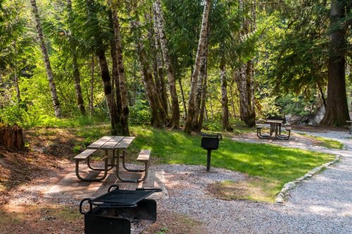 A serene picnic area in a forest, featuring tables, grills, and lush greenery surrounded by tall trees.