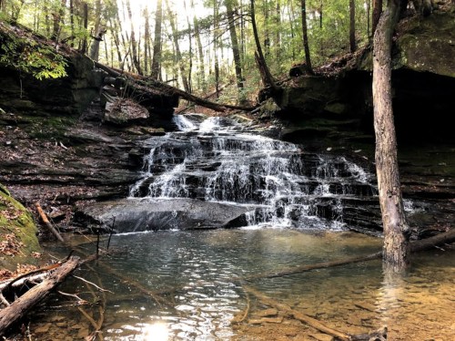 A serene waterfall cascades over rocky ledges into a clear pool, surrounded by lush green trees and sunlight filtering through.