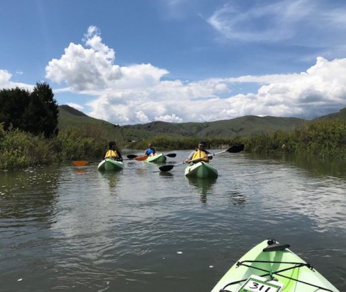 Four kayakers paddle through a calm river surrounded by lush greenery and blue skies with fluffy clouds.