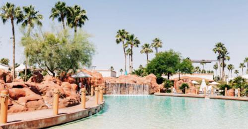 A serene pool area surrounded by palm trees and rocky formations under a clear blue sky.