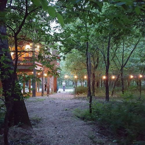 A serene forest path leads to a wooden building, illuminated by string lights, with a figure standing in the distance.