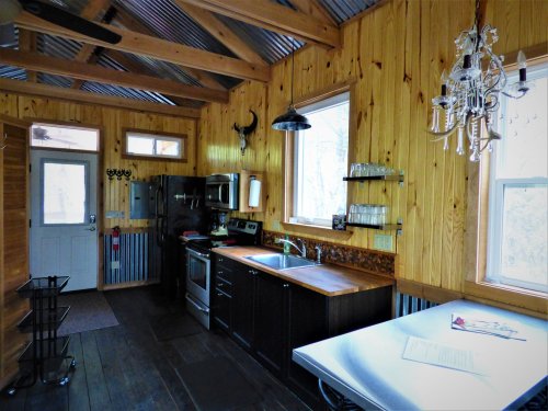 Cozy kitchen with wooden walls, stainless steel appliances, and a chandelier, featuring a rustic and inviting atmosphere.