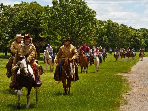 A group of horseback riders in tan jackets riding along a grassy path lined with trees under a blue sky.
