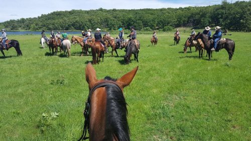 A group of horseback riders gathers in a green field, with trees and a lake in the background.