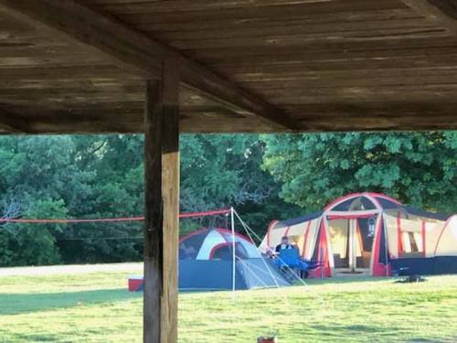 A view of camping tents set up on a grassy area, framed by a wooden structure and surrounded by trees.