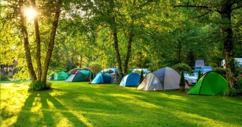 A serene campsite with colorful tents set on lush green grass, surrounded by trees and dappled sunlight.