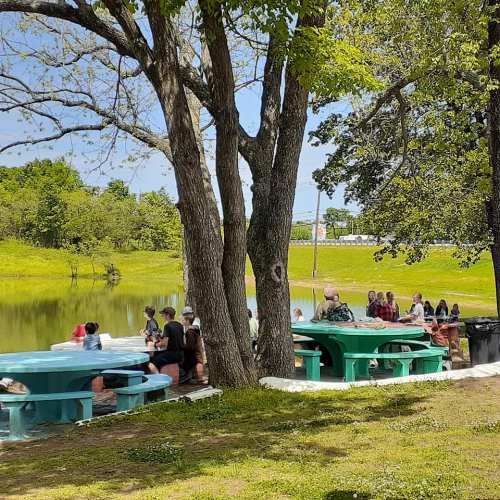 A group of people sitting at green picnic tables by a pond, surrounded by trees and a clear blue sky.