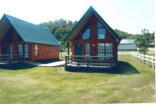 Two A-frame cabins with green roofs, surrounded by grass and trees, in a sunny outdoor setting.