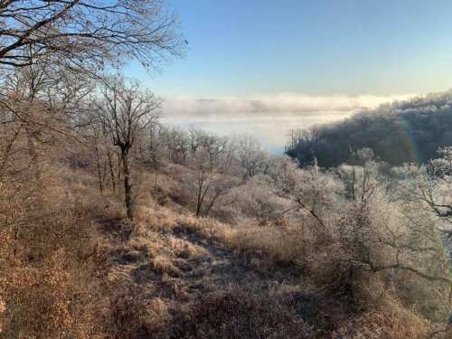 A serene winter landscape with frosted trees and a misty river in the background under a clear blue sky.