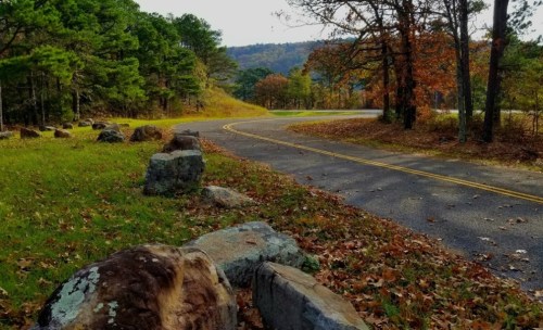 A winding road surrounded by trees and autumn leaves, with large rocks lining the grassy edge.