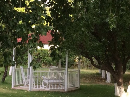A white gazebo surrounded by green trees and grass, with a red-roofed building in the background.