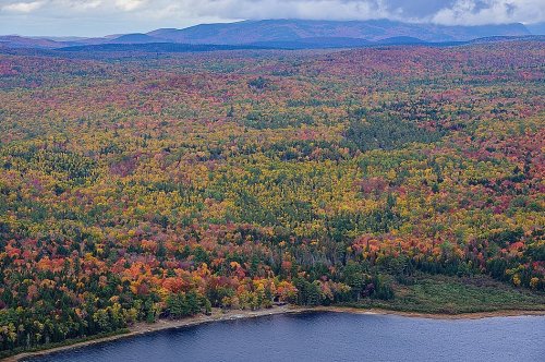 Aerial view of a vibrant autumn landscape with colorful trees and a serene lake surrounded by mountains.