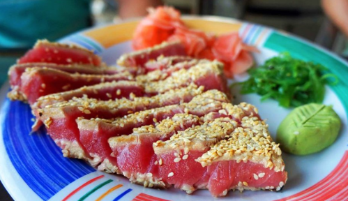 A plate of sliced sesame-crusted tuna, garnished with pickled ginger, green onions, and wasabi.