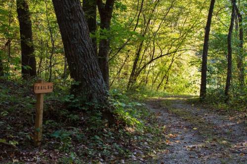 A wooded trail with a wooden sign labeled "Trail" beside a gravel path surrounded by lush greenery.