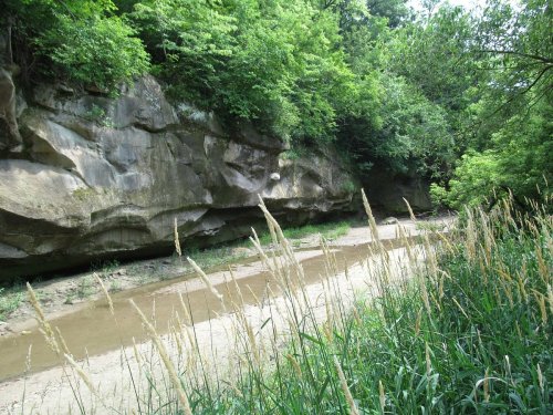 A serene riverbank scene with tall grass, a shallow stream, and rocky cliffs surrounded by lush green trees.