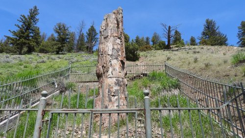 A tall, weathered rock formation surrounded by a metal fence, set against a backdrop of green grass and trees.