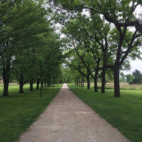 A gravel path lined with lush green trees on either side, leading into the distance under a cloudy sky.