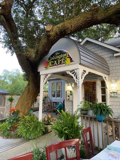 A charming café with a sign reading "The Colington Café," surrounded by greenery and a large tree.