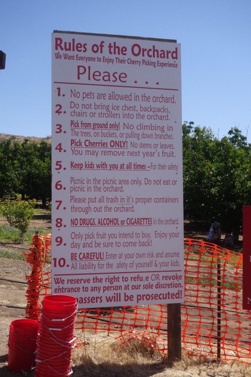 Sign listing rules for a cherry orchard, including no pets, picking guidelines, and safety reminders.