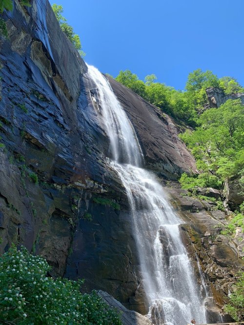 A tall waterfall cascading down a rocky cliff, surrounded by lush green trees under a clear blue sky.