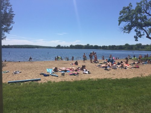 A sunny beach scene with people sunbathing, swimming, and enjoying the water by a lake. Green grass and trees in the background.