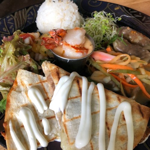 A colorful plate featuring grilled quesadillas with sauce, rice, salad, and various side dishes.
