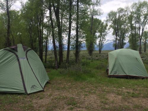 Two green tents set up in a grassy area surrounded by trees, with mountains visible in the background.