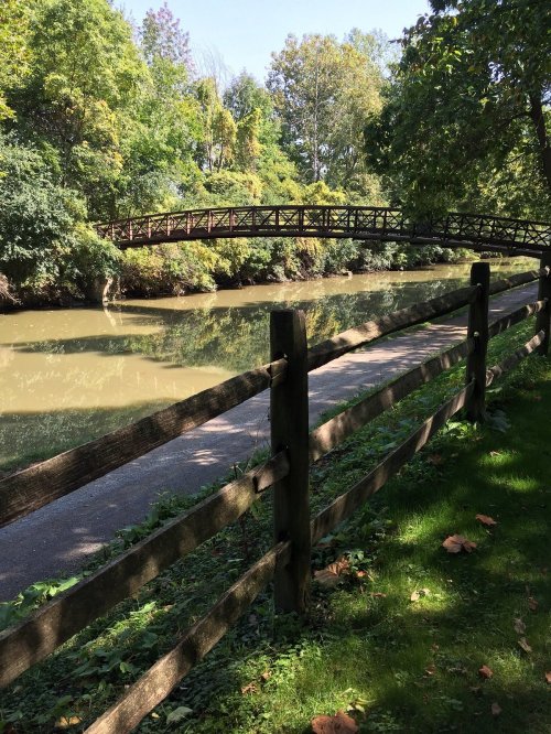 A peaceful scene of a riverbank with a wooden bridge and a grassy area bordered by a wooden fence.