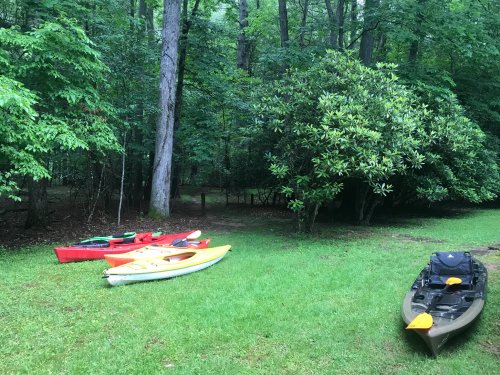 A grassy area with several kayaks in red, yellow, and black, surrounded by lush green trees and shrubs.