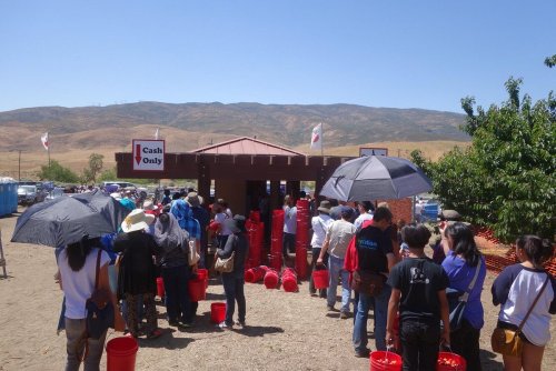 A crowd gathers under umbrellas at a cash-only booth, with red buckets lined up outside against a mountainous backdrop.