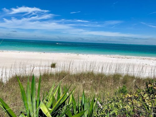 A serene beach scene with white sand, turquoise water, and green grass under a clear blue sky.