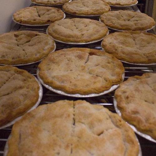 A row of freshly baked pies cooling on a wire rack, each with a golden-brown crust and a crimped edge.