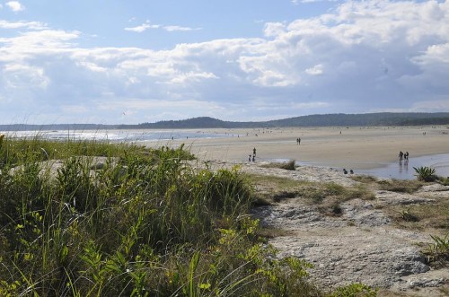A scenic beach view with people walking along the shore, surrounded by grass and rocky terrain under a cloudy sky.