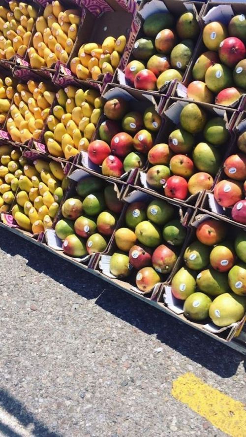 Colorful display of mangoes and other fruits in cardboard boxes at a market.