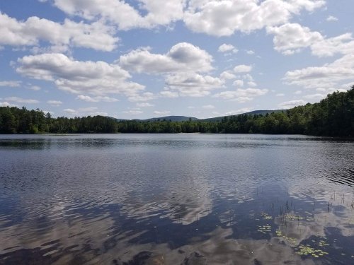 A serene lake surrounded by trees and mountains, reflecting fluffy clouds in a clear blue sky.