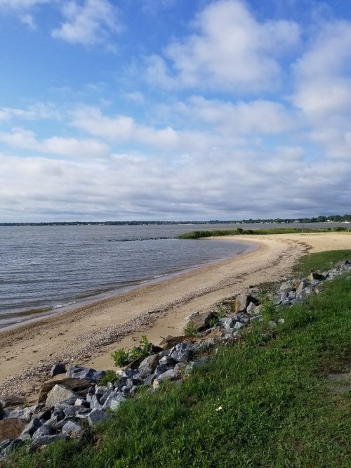 A serene beach scene with a sandy shore, calm water, and a cloudy blue sky, framed by green grass and rocks.