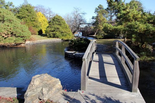 A wooden bridge over a calm pond, surrounded by lush greenery and trees under a clear blue sky.