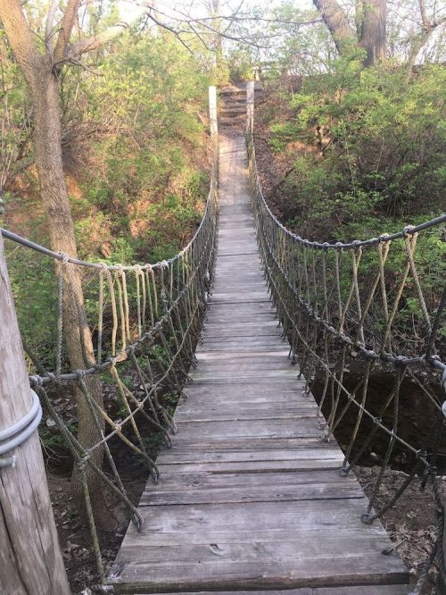 A wooden suspension bridge surrounded by greenery, leading into a wooded area.