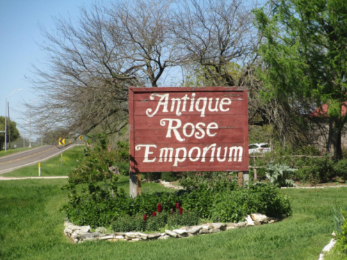 Sign for "Antique Rose Emporium" surrounded by greenery, with a road visible in the background.