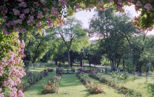 A lush garden with blooming flowers, green trees, and a serene pathway leading through the vibrant landscape.