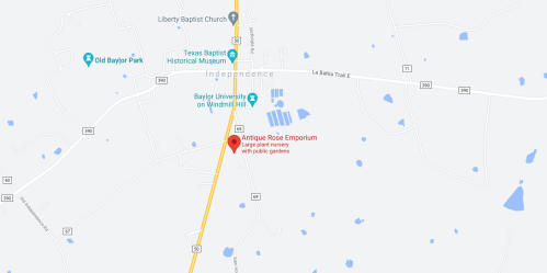 Map showing the location of Antique Rose Emporium near Independence, Texas, with nearby landmarks and roads.