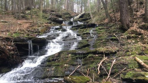 A serene waterfall cascading over moss-covered rocks in a lush forest setting.