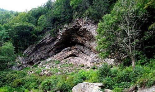 A rocky outcrop surrounded by lush green trees and vegetation in a natural landscape.