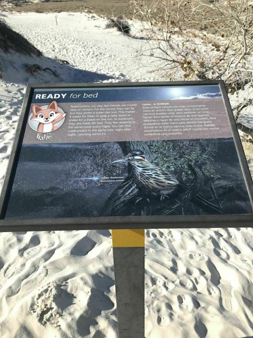 Sign titled "Ready for Bed" with an illustration of a bird and text about its nighttime behavior in a sandy landscape.