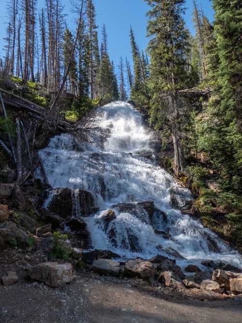 A cascading waterfall flows down rocky terrain, surrounded by tall trees and bright blue sky.