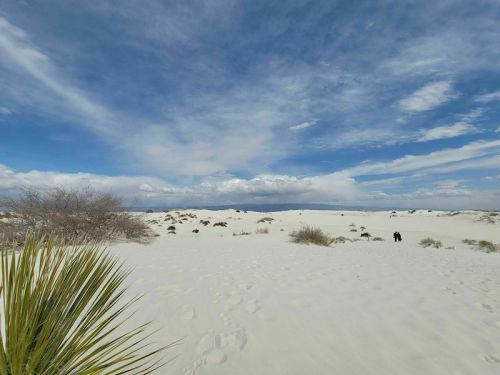 A vast white sand desert under a blue sky with scattered clouds, featuring sparse vegetation and distant figures.