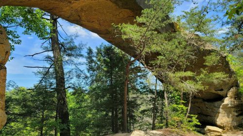 A natural stone arch surrounded by lush green trees and a clear blue sky.