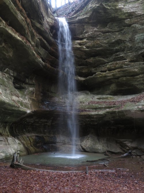 A serene waterfall cascading down rocky cliffs into a small pool, surrounded by earthy tones and fallen leaves.