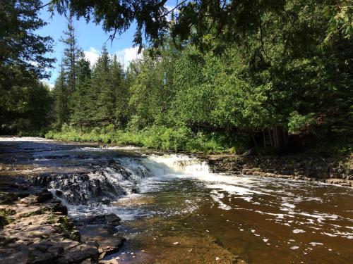 A serene river flows over rocks, surrounded by lush green trees under a bright blue sky.